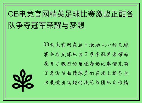 OB电竞官网精英足球比赛激战正酣各队争夺冠军荣耀与梦想